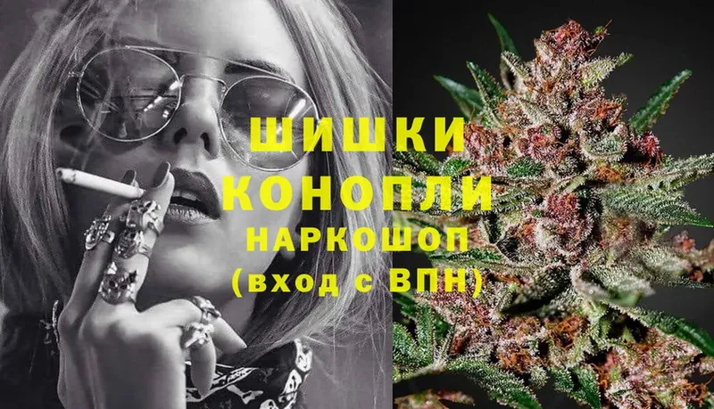 Бошки марихуана THC 21%  Новотроицк 